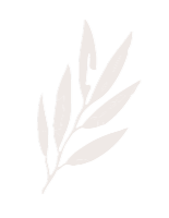 feuille décorative pour la beauté