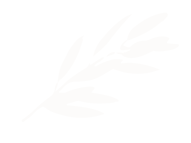 feuille décorative en haut du site