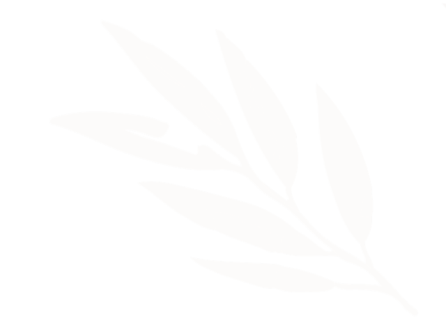 feuille décorative en haut du site